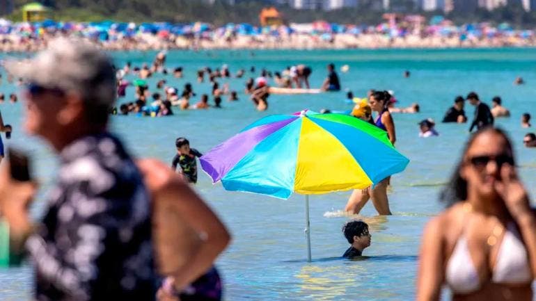 La bacteria Vibrio vulnificus, ha causado al menos ocho muertes y más de 30 infecciones