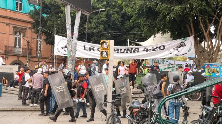 nuevos puntos CDMX consumo ludico marihuana