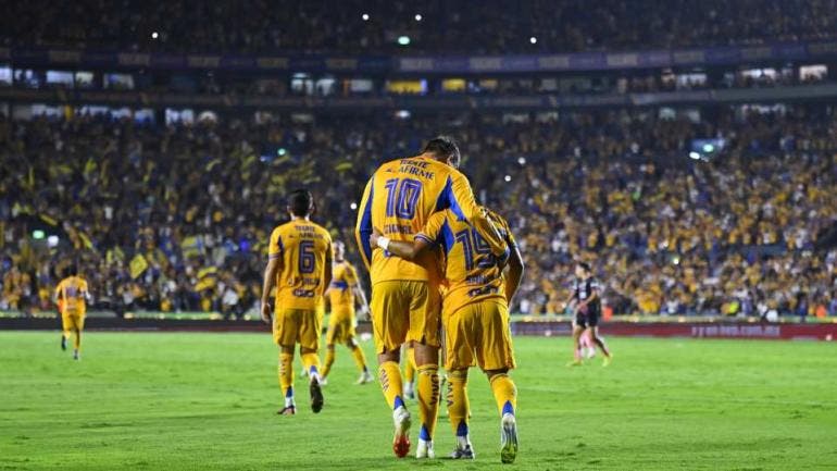 Tigres