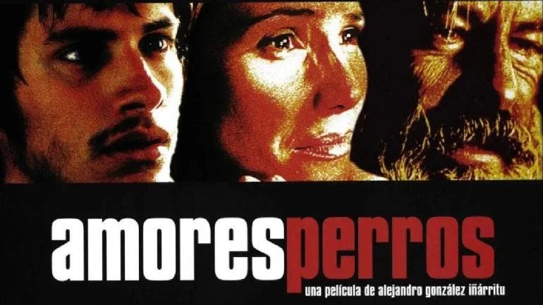 Amores PerrosAmores Perros