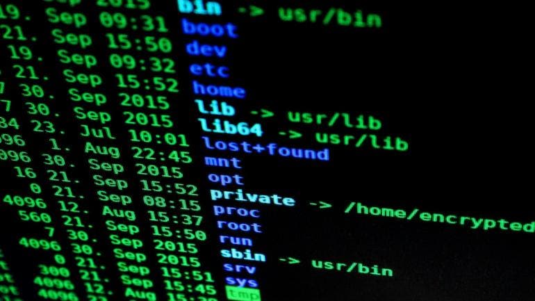 Los atacantes combinan los ataques de fuerza bruta con técnicas de ingeniería social, como el phishing, y utilizan información pública o filtrada para adivinar contraseñas.