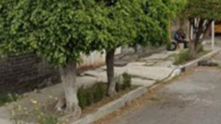 mata vecino Ampliacion Selene Tlahuac.jpg