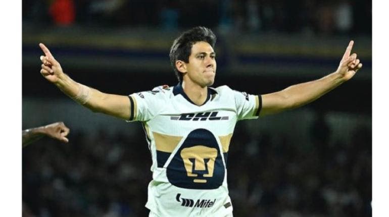 pumas.jpg