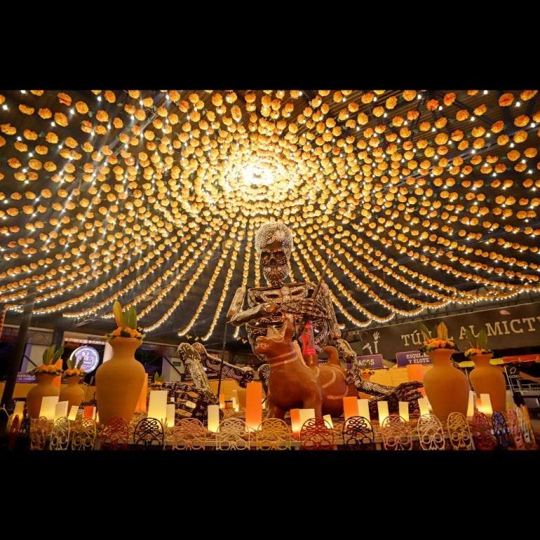 Fotografía de una calavera monumental