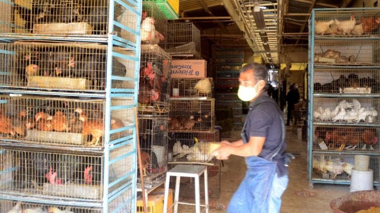 Mercado Sonora