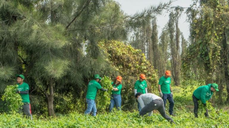 aporta voluntariado manos Xochimilco.jpg