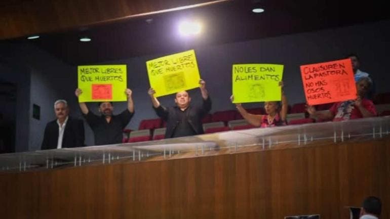 Colectivos y ciudadanos defensores de los animales 