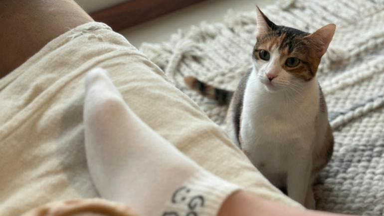 La SGIRPC recordó que el frío intenso es común en esta época del año debido a los primeros efectos de los frentes fríos que cruzan el país