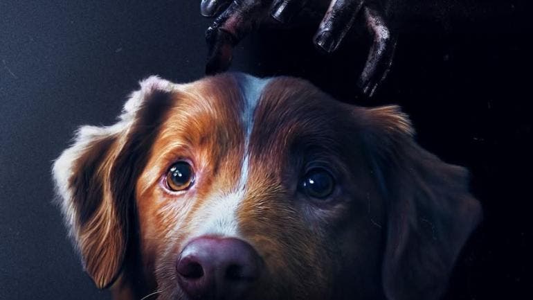 Good boy película