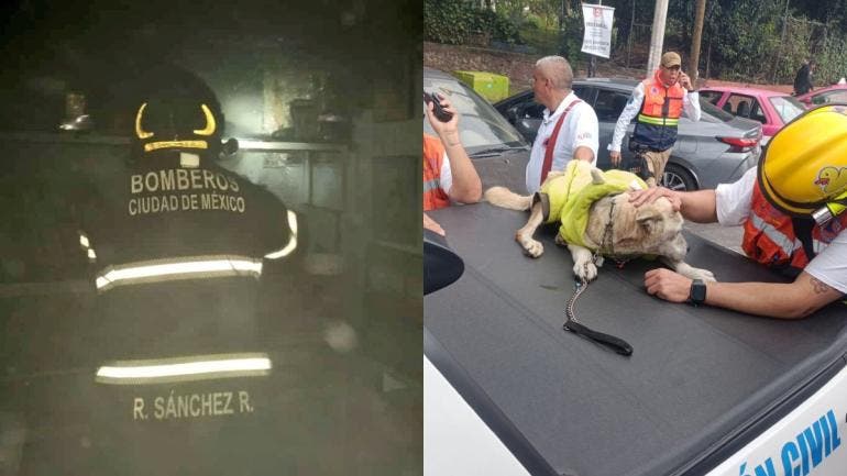 El siniestro fue controlado alrededor de las 10:00 horas y no se reportaron personas lesionadas.