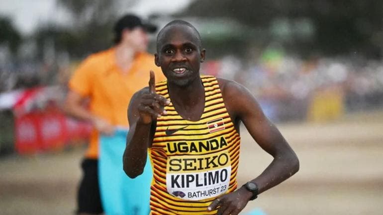 Kliplimo