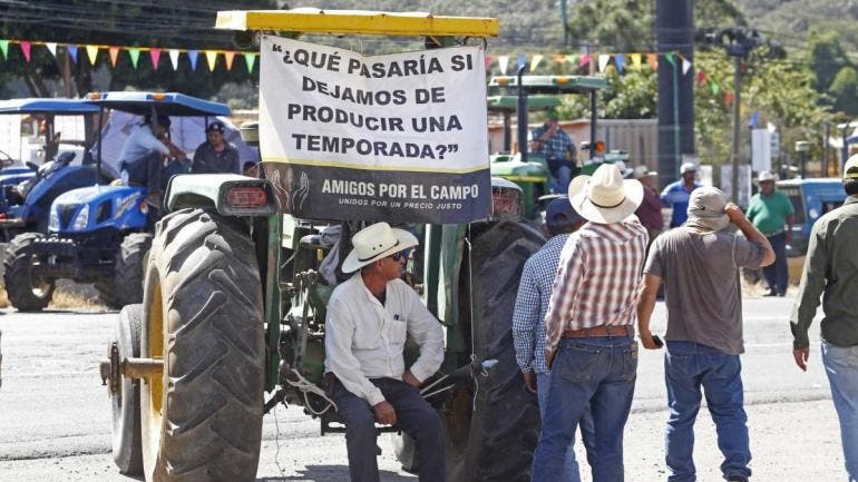 Productores de maíz