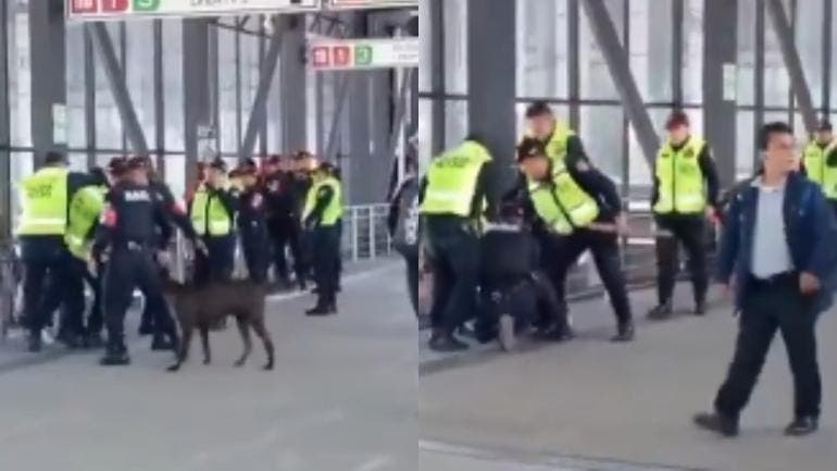El incidente, captado en video y difundido en redes sociales, mostró momentos de tensión en los que incluso un perro negro se lanzó entre los uniformados