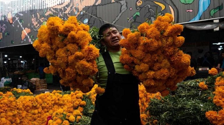 En el Zócalo capitalino, las flores de cempasúchil -algunas nacidas de semillas chinas-, se mezclan con calaveras de cartón pintadas a mano 
