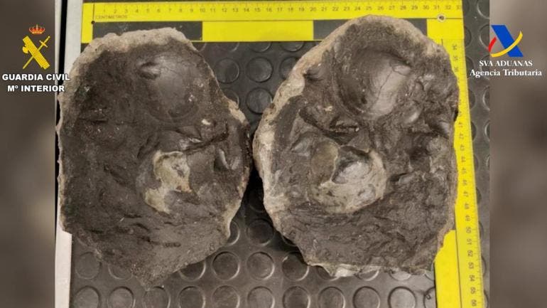 Patrimonio histórico de México y Ecuador