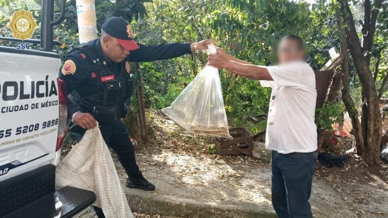 rescatan vibora Alvaro Obregon.jpg