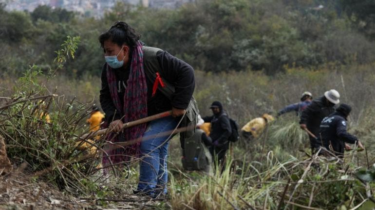 La alcaldía Álvaro Obregón precisó que el rastreo de personas en la barranca de Tarango se llevará a cabo del 16 al 19 de diciembre