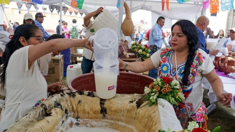 declara Congreso CDMX Dia local Pulque.jpg