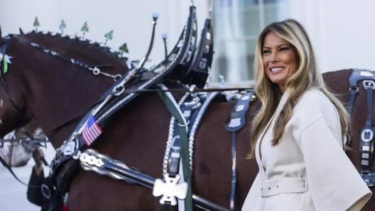 encienden Trump Melania arbol Navidad.jpg