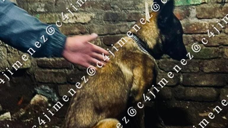 hallan cuerpo agente SSC Alvaro Obregon.jpg