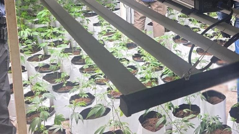 incautan 80 kilos droga Jalisco.jpg