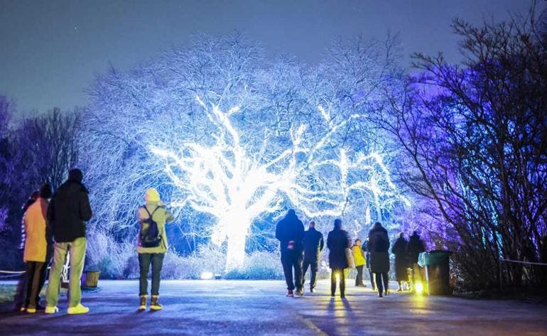 Weihnachten im Tierpark 2025/2026: El Gran Espectáculo de Luces en Berlín (Fotos EFE)