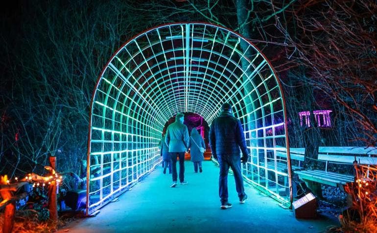 Weihnachten im Tierpark 2025/2026: El Gran Espectáculo de Luces en Berlín (Fotos EFE)
