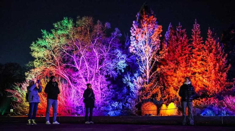 Weihnachten im Tierpark 2025/2026: El Gran Espectáculo de Luces en Berlín (Fotos EFE)