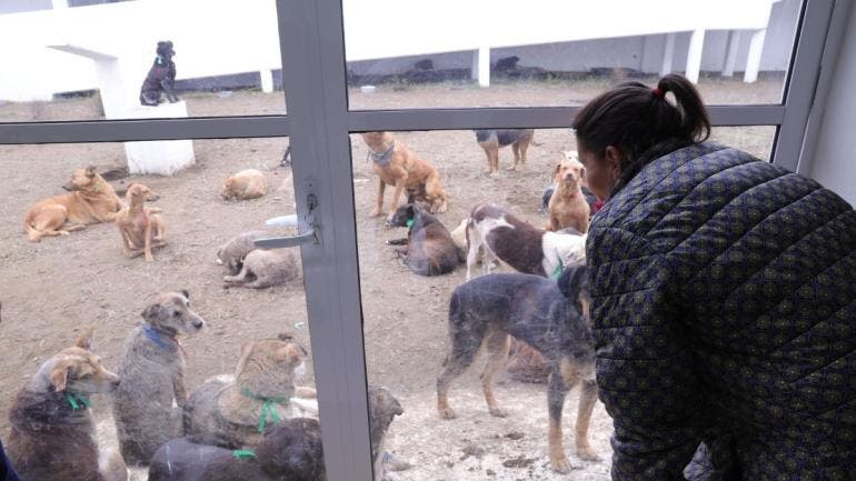 denuncian desacato judicial Refugio Franciscano.jpg