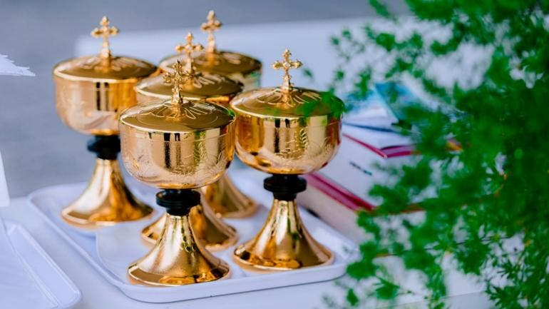 Tras un cruce de información, se dio a conocer que dos de los detenidos cuentan con antecedentes penales-