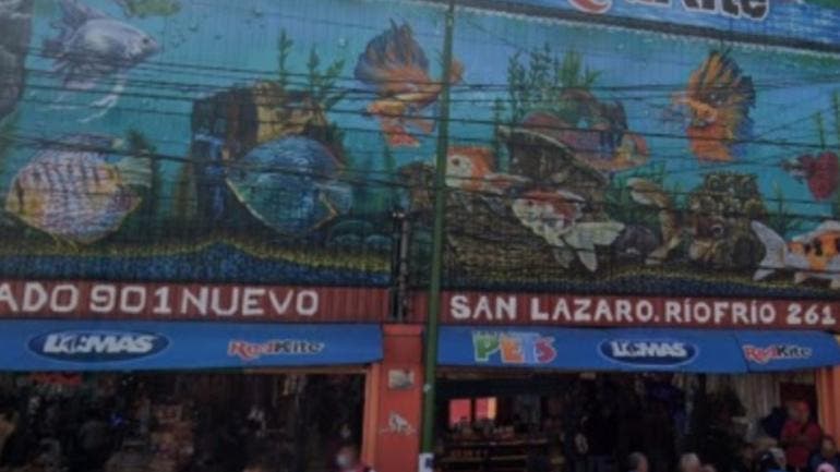 erradicar venta animales Mercado Mixhuca.jpg