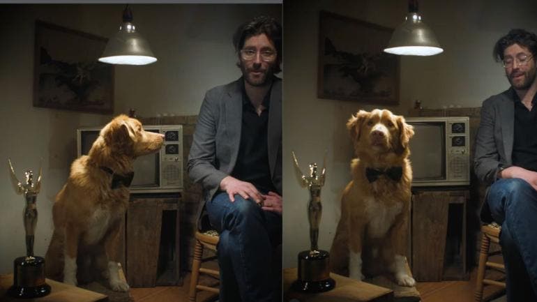Indy, el perro más talentoso del cine, ¡gana el Astra Award a Mejor Actuación y roba el corazón del mundo! 