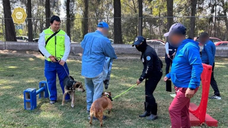 Refugio Franciscano visita animales BVA.jpg