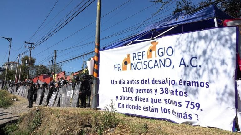 . Reiteró que la actuación de las autoridades se dio en cumplimiento de una orden judicial derivada de las condiciones en las que se encontraban los animales.