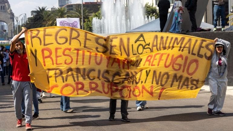 El alcalde agregó que la jefa de Gobierno de la Ciudad de México, Clara Brugada, también ha manifestado su postura en el mismo sentido.