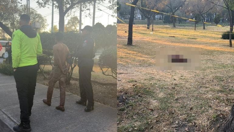 Según trascendió, el sujeto desolló a uno de los animales con el objetivo de despedazarlo e ingerirlo. Además, habría estado bajo el efecto de algún estupefaciente.