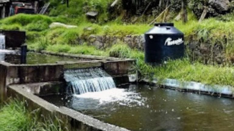 hallan maleta cuerpo mujer asesinada Los Dinamos.jpg