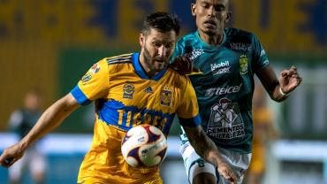 Tigres