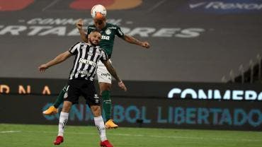 palmeiras