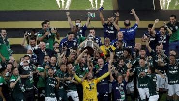 palmeiras