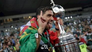 palmeiras 