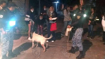 Policía ejecuta orden de cateo en Coyoacán para rescatar a perro maltratado