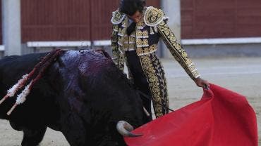  Feria del Traje de Luces