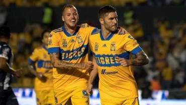 Tigres