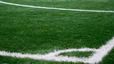 PASTO CAMPO FUTBOL