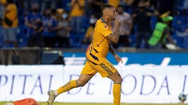 Tigres