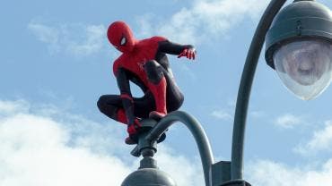 spider
