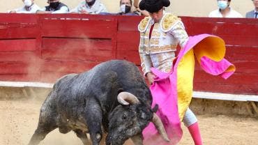 toross