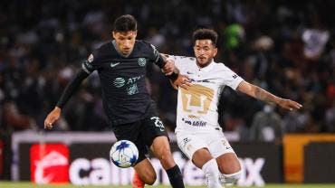 pumas
