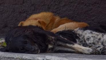 Foto: Cuartoscuro